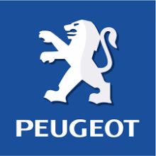 Pièces Peugeot